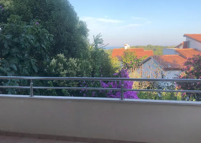 Apartments Tomic